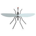 mosquito