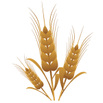 nutgrass