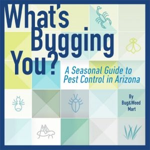 What's Bugging You: A Seasonal Guide to Pest Control in Arizona