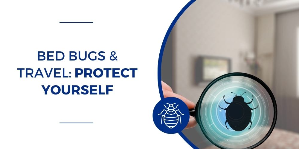 Protecting yourself from bedbugs while traveling