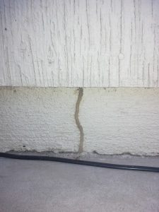 Evidence of termites, mud tube