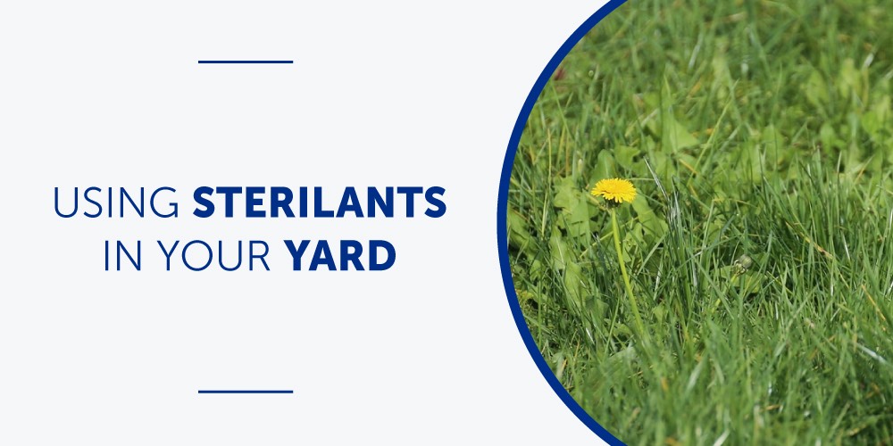 Using sterilants could kill the plants you want to keep.