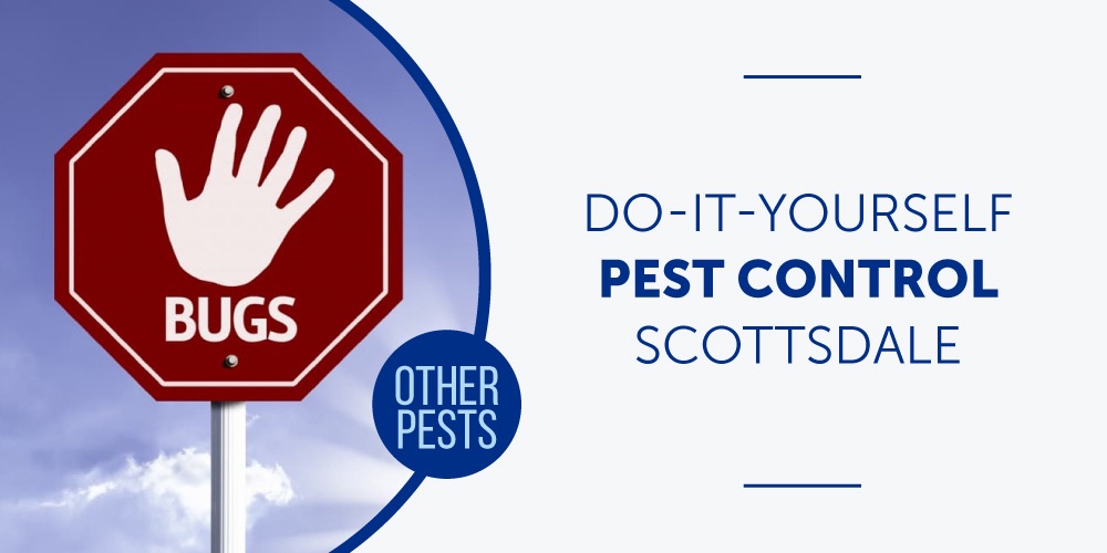 Pest-Proofing Your House With Do-It-Yourself Pest Control Scottsdale