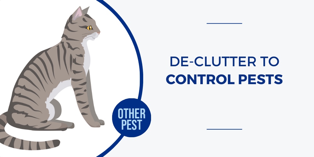 De-Clutter to Control Pests