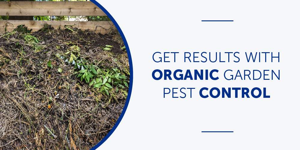 Get Results with Organic Garden Pest Control