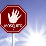 Best Mosquito Repellent 