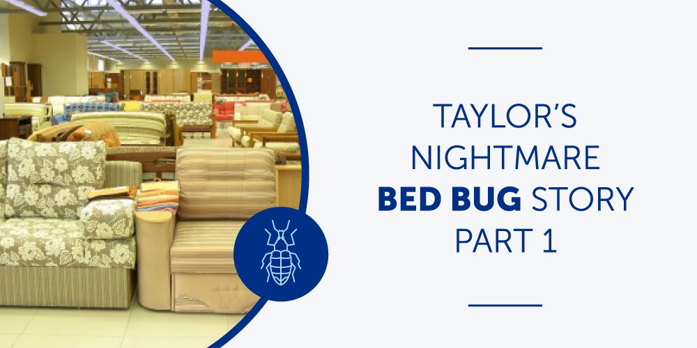 Taylor’s Nightmare Bedbug Story Part 2