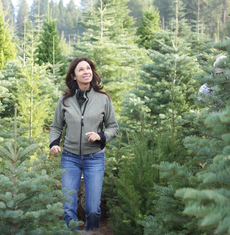 4 Easy Steps to Get Rid of Christmas Tree Bugs Bug & Weed Mart