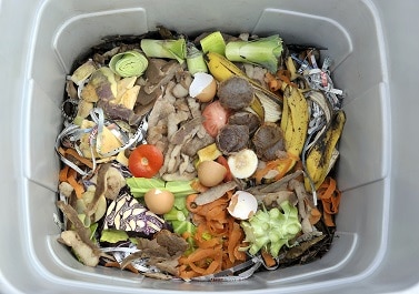 how to vermicompost