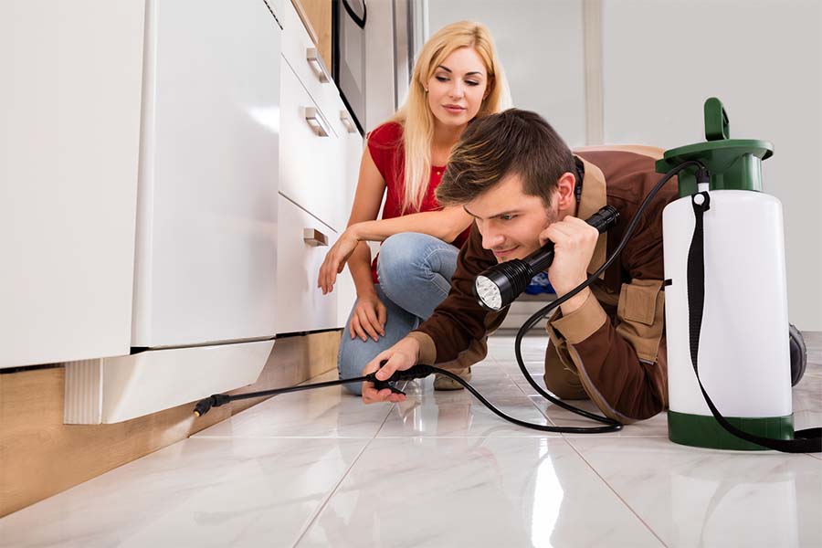 couple-diy-pest-control couple-diy-pest-control