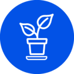 potted-plants