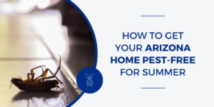 How to Get Your Arizona Home Pest Free for Summer