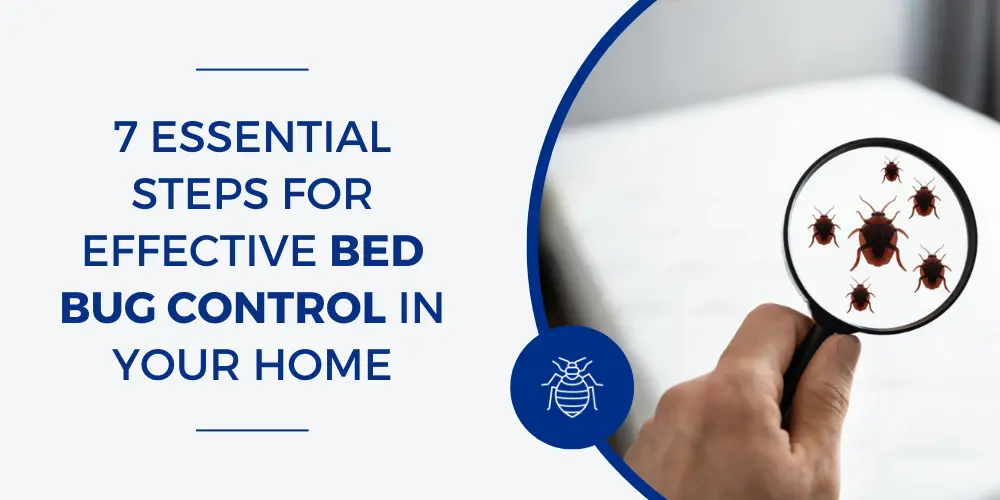 https://bugweedmart.com/wp-content/uploads/2023/10/7-Essential-Steps-for-Effective-Bed-Bug-Control-in-Your-Home.webp