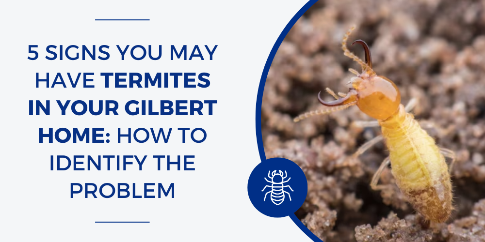 Gilbert termite prevention