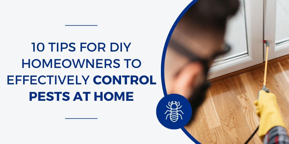 Effective Tips for Homeowners Controlling Pests Effectively With DIY Solutions