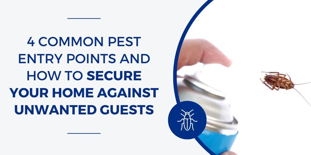 4 common pest entry points and how to secure Your Home Against Unwanted Guests