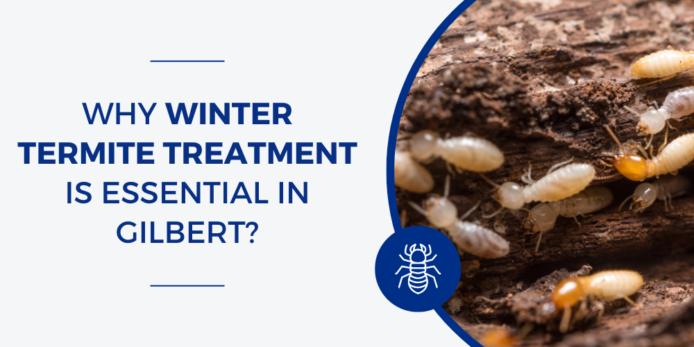 winter termite treatment Gilbert, AZ
