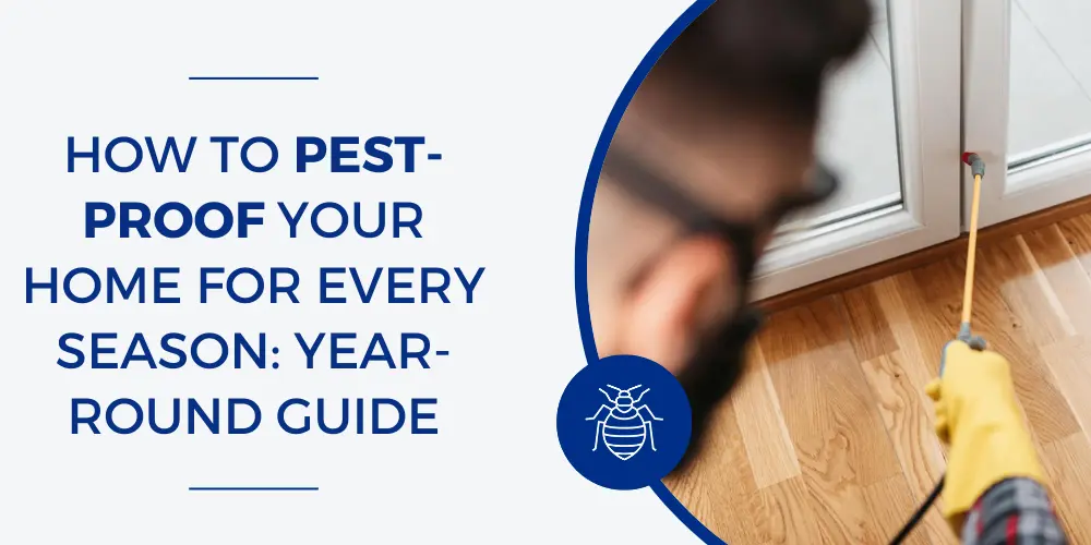 How to Pest-Proof Your Home for Every Season