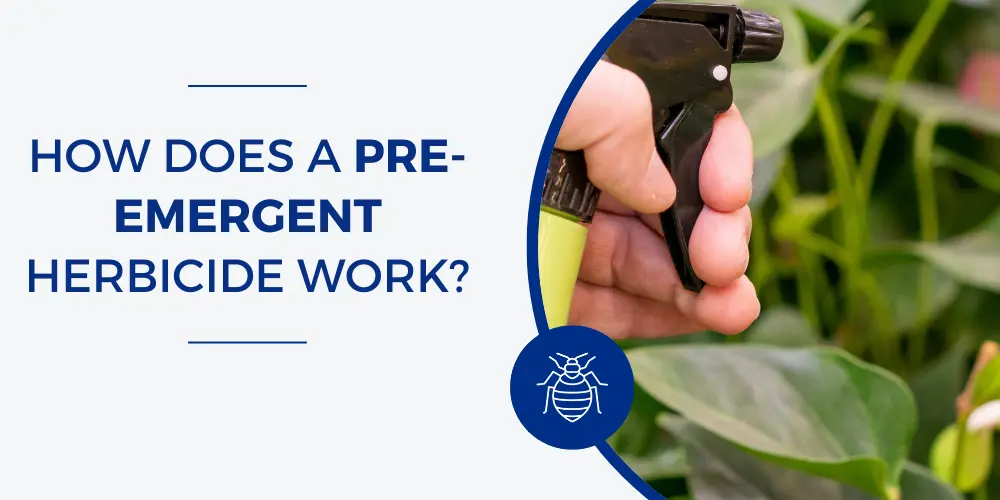 How-Does-a-PreEmergent-Herbicide-Work