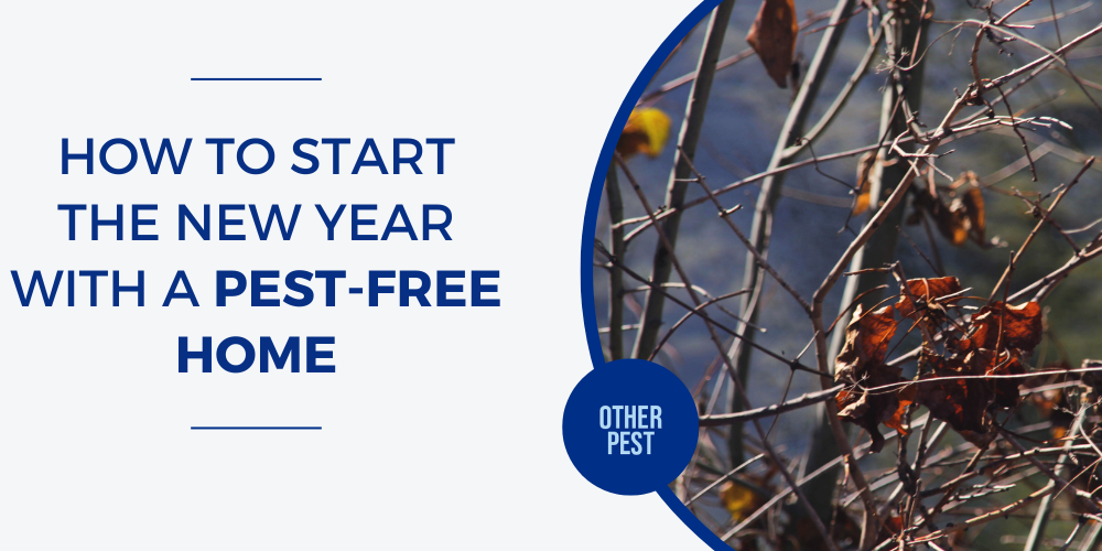 8 Mosquito Control Tips & Techniques for Homeowners in Phoenix