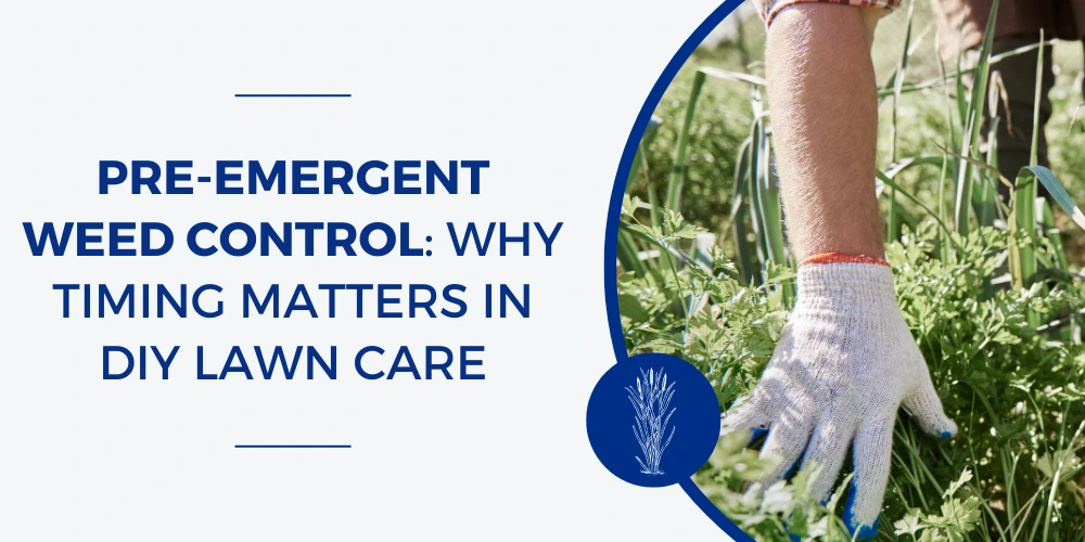 Pre-Emergent Weed Control: Why Timing Matters in DIY Lawn Care