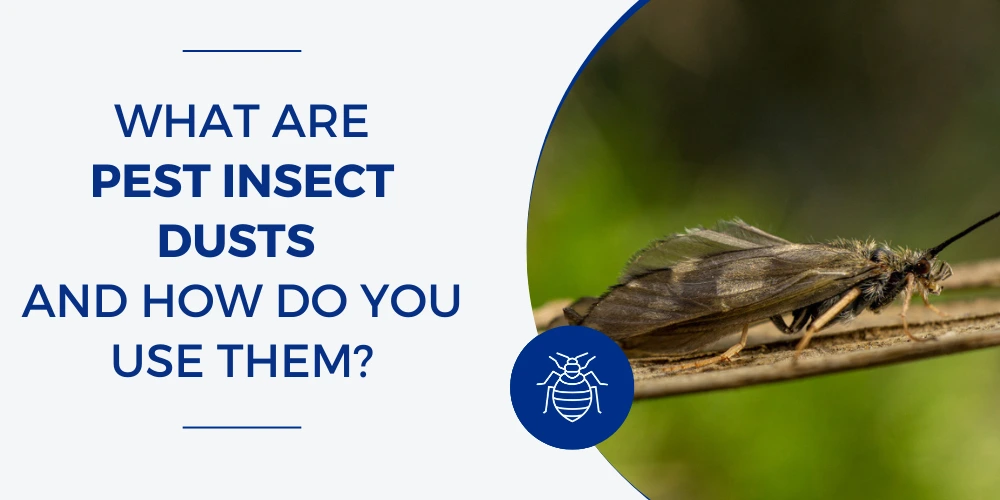 What Are Insect Dusts and How Do You Use Them - Bug & Weed Mart