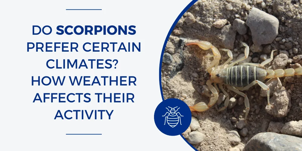 Do Scorpions Prefer Certain Climates? How Weather Affects Their Activity