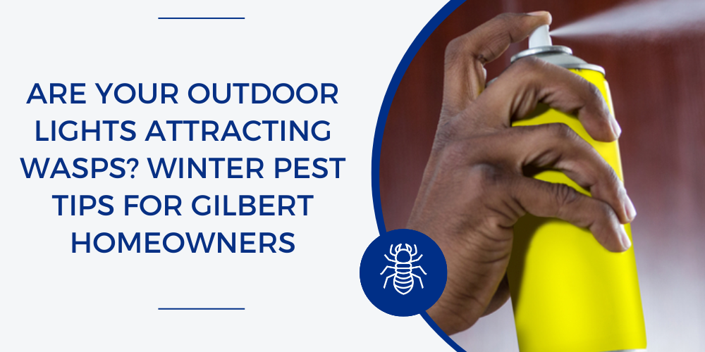 wasp control Gilbert AZ