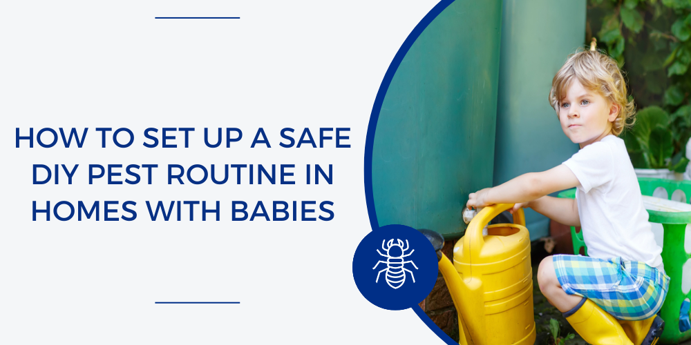 safe pest control around babies
