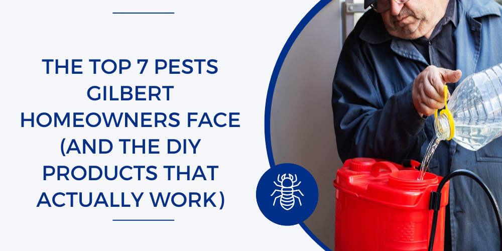 common pests Gilbert, AZ