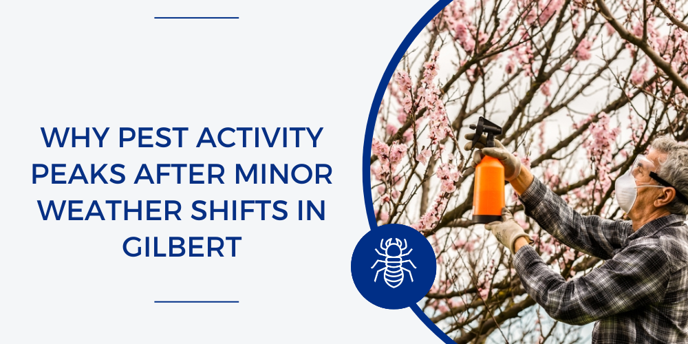 why some homes have more pests