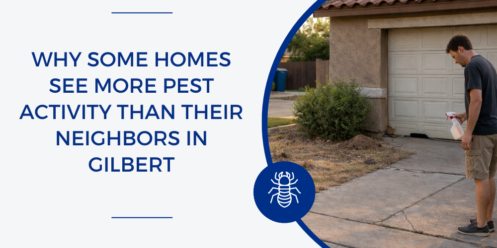 why some homes have more pests