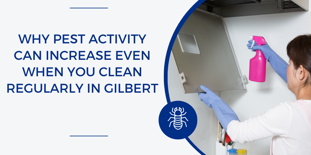why pests are in clean homes