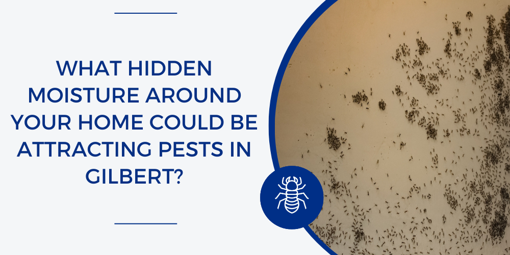hidden moisture attracting pests