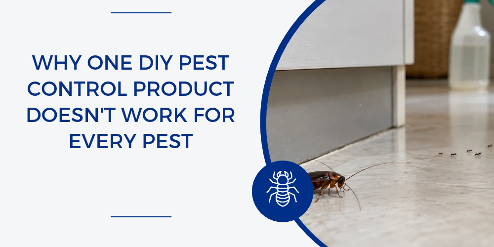 Why One DIY Pest Control Product Doesn't Work for Every Pest