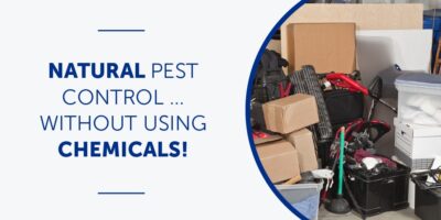 Natural Pest Control … Without Using Chemicals!
